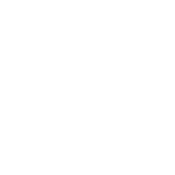Rotulación Vehicular